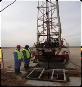 Field work 12